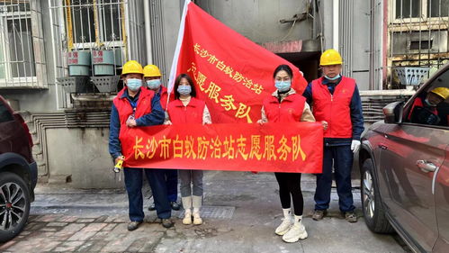市白蟻防治站開展白蟻防治宣傳和白蟻危害檢查滅治志愿服務活動