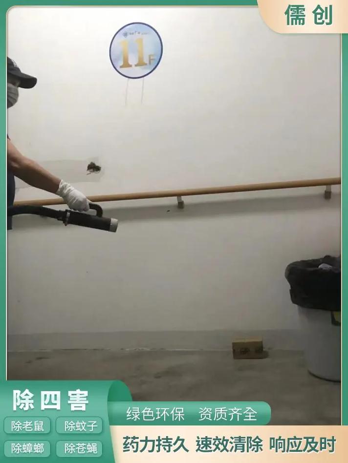 守護工廠安全，大良白蟻防治與滅鼠全攻略