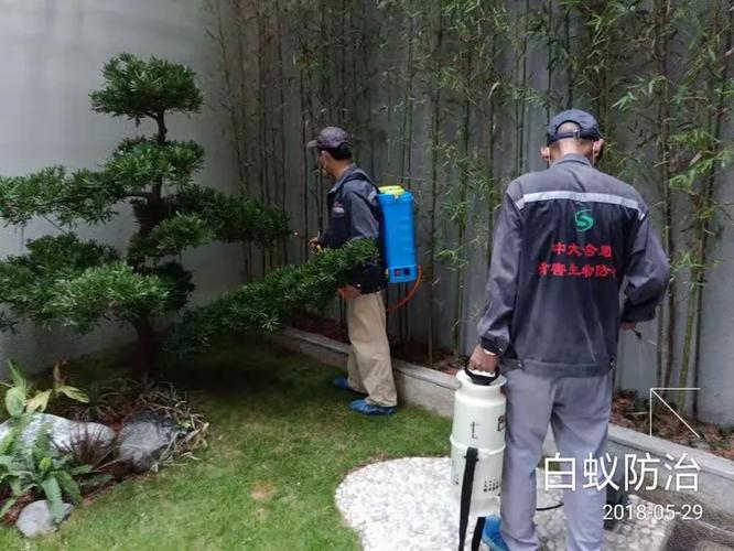 華僑城波托菲諾香山里二期10棟二單元1D白蟻防治服務(wù)作業(yè)記錄