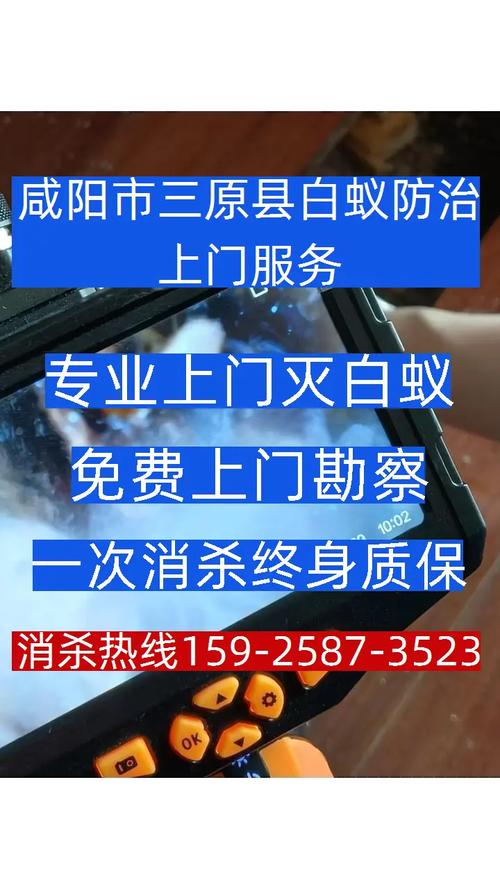 咸陽(yáng)市三原縣白蟻防治上門服務(wù)全指南 如何找到正規(guī)消殺電話？