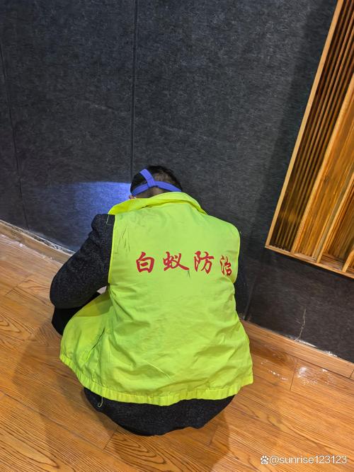 專業(yè)白蟻防治服務(wù) 守護(hù)家園與企事業(yè)單位的安心之選