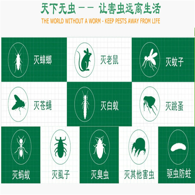 九江工廠白蟻防治與滅蚊服務(wù)全解析 價(jià)格、方案及專業(yè)選擇指南