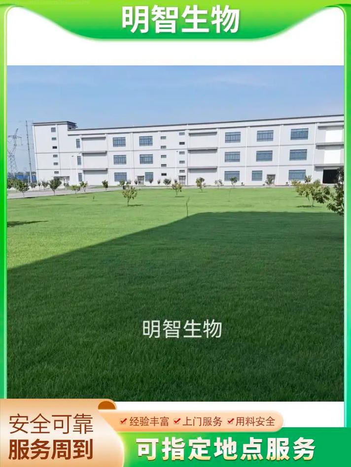 321 關(guān)注 長(zhǎng)沙工廠白蟻防治公司,服務(wù)熱線:15367129973滅白蟻產(chǎn)品能